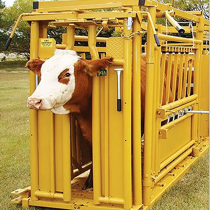 Manual Cattle Head Gate