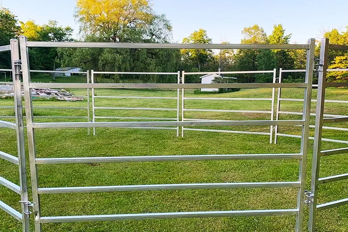 Dipped Galvanized Corral Panels for sale Dipped Galvanized Corral Panels for sale