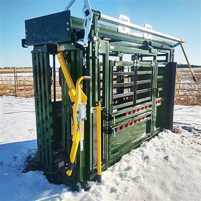 Scivolo di compressione per bovini